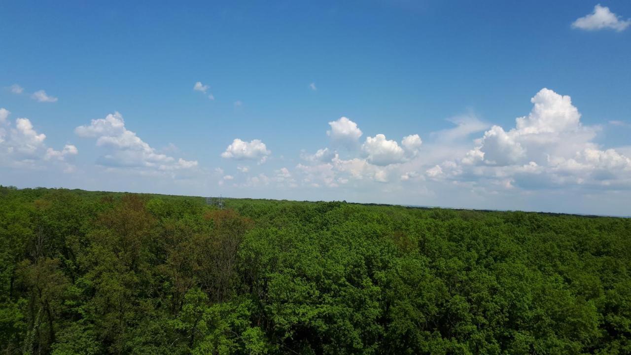 Foresthouse 2 蒂米什瓦拉 外观 照片